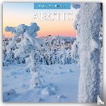 Red Robin - Arctic 2026 Square Wall Calendar