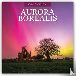 Red Robin - Aurora Boraelis - Northern lights 2026 Square Wall Calendar