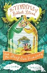 Gardner, Sally - The Tindims of Rubbish Island and the Deep Sea Treasure