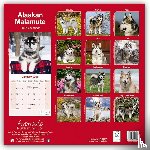 Avonside Publishing Ltd - Alaskan Malamute Square Wall Calendar 2025