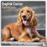 Avonside Publishing Ltd - English Cocker Spaniel Square Wall Calendar 2025