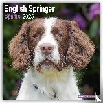 Avonside Publishing Ltd - English Springer Spaniel Square Wall Calendar 2025