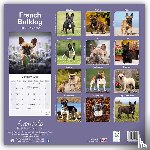 Avonside Publishing Ltd - French Bulldog Square Wall Calendar 2025
