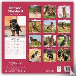 Avonside Publishing Ltd - German Shepherd Square Wall Calendar 2025