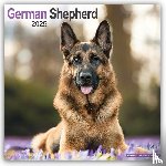 Avonside Publishing Ltd - German Shepherd Square Wall Calendar 2025