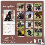 Avonside Publishing Ltd - Gordon Setter Calendar 2025 Square Dog Breed Wall Calendar - 16 Month