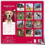 Avonside Publishing Ltd - Great Dane Square Wall Calendar 2025