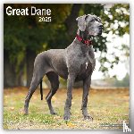 Avonside Publishing Ltd - Great Dane Square Wall Calendar 2025