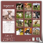 Avonside Publishing Ltd - Greyhound Square Wall Calendar 2025