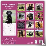 Avonside Publishing Ltd - Labrador Retriever Black Square Wall Calendar 2025
