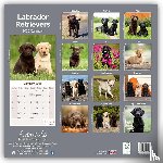 Avonside Publishing Ltd - Labrador Retrievers Square Wall Calendar 2025