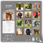 Avonside Publishing Ltd - Papillon Calendar 2025 Square Dog Breed Wall Calendar - 16 Month