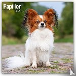 Avonside Publishing Ltd - Papillon Calendar 2025 Square Dog Breed Wall Calendar - 16 Month