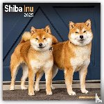 Avonside Publishing Ltd - Shiba Inu Calendar 2025 Square Dog Breed Wall Calendar - 16 Month