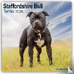 Avonside Publishing Ltd - Staffordshire Bull Terrier Square Wall Calendar 2025