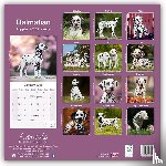 Avonside Publishing Ltd. - Dalmatian Puppies Calendar 2025 Square Dog Puppy Breed Wall Calendar - 16 Month