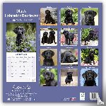 Avonside Publishing Ltd - Black Labrador Puppies Calendar 2025 Square Dog Puppy Breed Wall Calendar - 16 Month