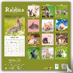 Avonside Publishing Ltd - Rabbits Square Wall Calendar 2025