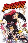 Mack, David, Palmiotti, Jimmy - Daredevil: Parts of A Hole