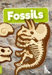 Holmes, Kirsty - Fossils