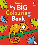 Nolan, Kate - My Big Colouring Book