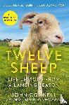 Connell, John - Twelve Sheep