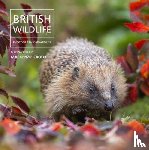 Nicholls, Will - British Wildlife Photography Awards 14