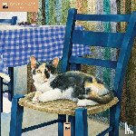 Flame, Tree - Ivory Cats by Lesley Anne Ivory Wall Calendar 2027 (Art Calendar)