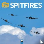 Flame, Tree - Imperial War Museums: Spitfires Wall Calendar 2027 (Art Calendar)