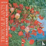Flame, Tree - Kew Gardens: Tropical Plants by Marianne North Wall Calendar 2027 (Art Calendar)