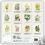 Flame, Tree - Royal Botanic Garden Edinburgh Wall Calendar 2027 (Art Calendar)