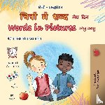 Books, Kidkiddos - Words in Pictures - My Day (Hindi English Bilingual Children's Book)