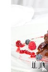 Kathleen Harris - THE VENISON BEGINNERS COOKBOOK