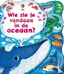 - Wie zie je vandaag in de oceaan?