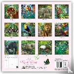 Flame Tree Publishing - Patricia MacCarthy's Tropical Fantasy Wall Calendar 2025 (Art Calendar)