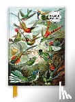 Flame Tree Studio - Ernst Haeckel: Hummingbirds (Foiled Blank Journal)