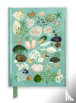 Flame Tree Studio - Katherine Quinn: Beachcombing (Foiled Journal)