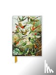 Flame Tree Studio - Ernst Haeckel: Hummingbirds (Foiled Pocket Journal)