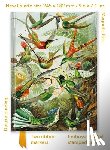 Flame Tree Studio - Ernst Haeckel: Hummingbirds (Foiled Quarto Journal)