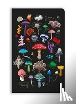 Flame Tree Studio - Anna Stead: Mushrooms & Fungi (Soft Touch Journal)