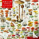 Flame Tree Studio - Adult Sustainable Jigsaw Puzzle Mushrooms & Fungi by Adolphe Philippe Millot
