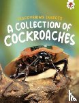 Storm, Rebecca - Discovering Insects: A Collection of Cockroaches
