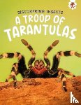 Storm, Rebecca - Discovering Insects: A Troop of Tarantulas