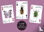  - Brilliant Bugs