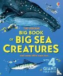 Lacey, Minna - Big Book of Big Sea Creatures
