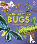 Bone, Emily - Big Book of Big Bugs