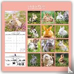 Gifted Stationery Co. Ltd - Cute Bunnies - Niedliche Kaninchen 2026 - 16-Monatskalender