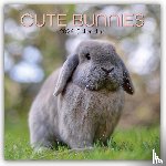 Gifted Stationery Co. Ltd - Cute Bunnies - Niedliche Kaninchen 2026 - 16-Monatskalender