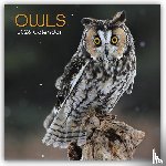 Gifted Stationery Co. Ltd - Owls - Eulen 2026 - 16-Monatskalender