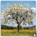 Gifted Stationery Co. Ltd - Beauty of Trees - Die Schönheit der Bäume 2026 - 16-Monatskalender